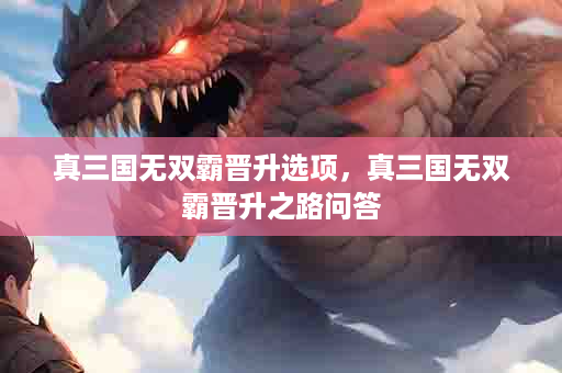 真三国无双霸晋升选项，真三国无双霸晋升之路问答