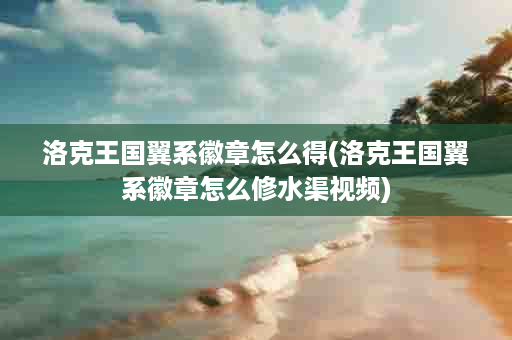 洛克王国翼系徽章怎么得(洛克王国翼系徽章怎么修水渠视频)