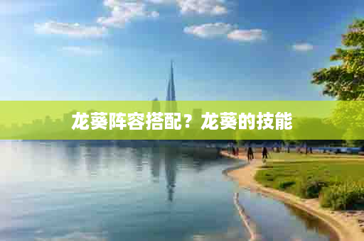 龙葵阵容搭配？龙葵的技能