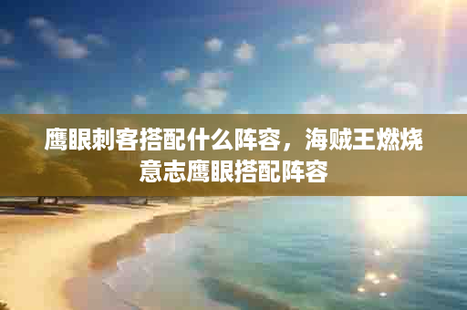 鹰眼刺客搭配什么阵容，海贼王燃烧意志鹰眼搭配阵容