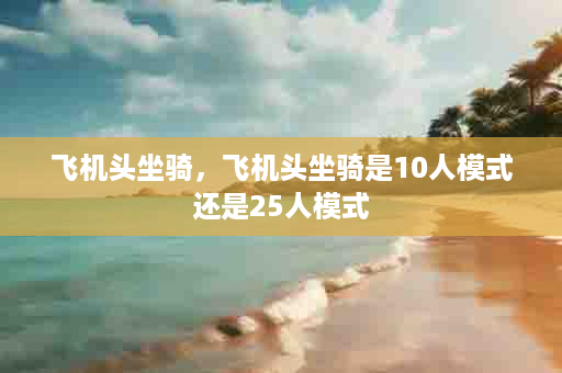 飞机头坐骑，飞机头坐骑是10人模式还是25人模式