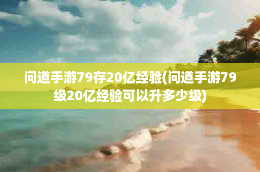 问道手游79存20亿经验(问道手游79级20亿经验可以升多少级)