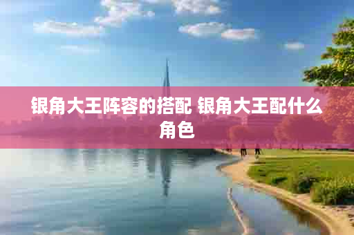 银角大王阵容的搭配 银角大王配什么角色