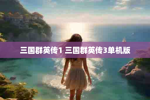 三国群英传1 三国群英传3单机版