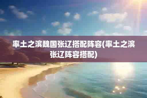 率土之滨魏国张辽搭配阵容(率土之滨张辽阵容搭配)