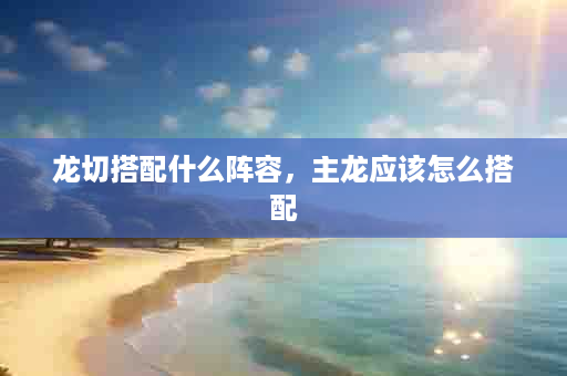 龙切搭配什么阵容，主龙应该怎么搭配