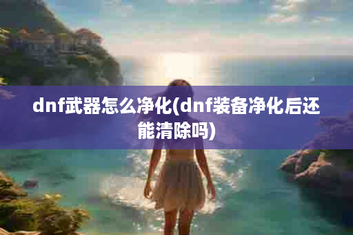 dnf武器怎么净化(dnf装备净化后还能清除吗)