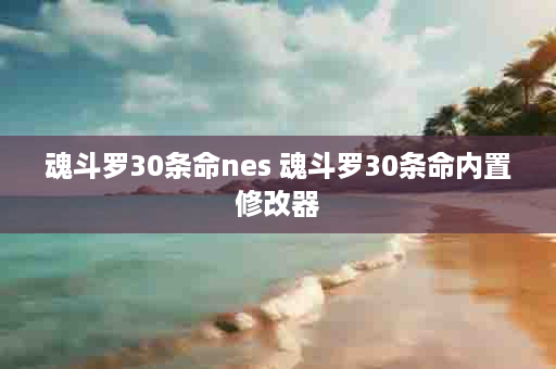 魂斗罗30条命nes 魂斗罗30条命内置修改器