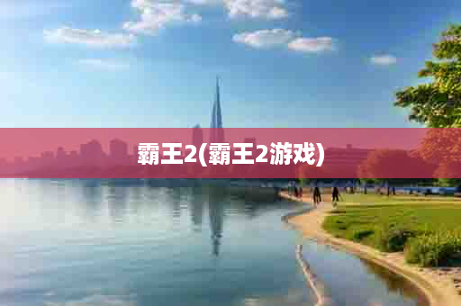 霸王2(霸王2游戏)