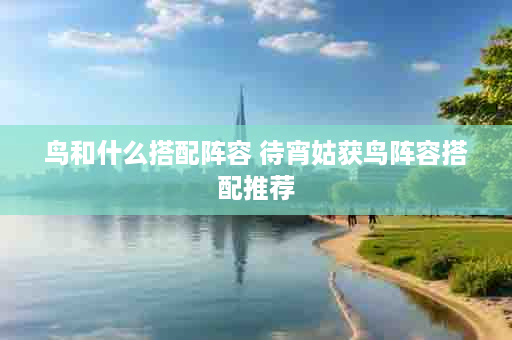 鸟和什么搭配阵容 待宵姑获鸟阵容搭配推荐