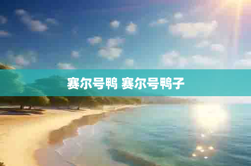 赛尔号鸭 赛尔号鸭子