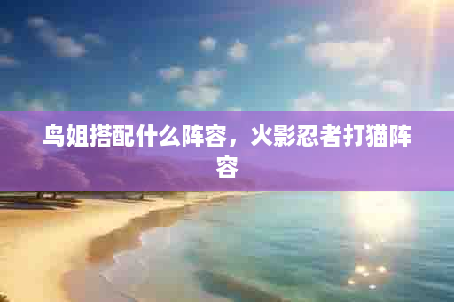 鸟姐搭配什么阵容，火影忍者打猫阵容