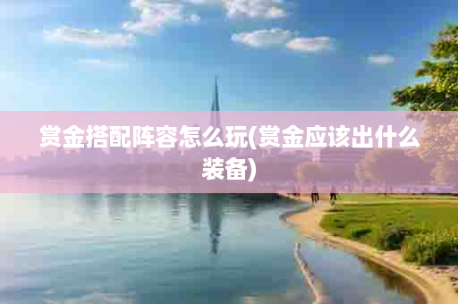 赏金搭配阵容怎么玩(赏金应该出什么装备)