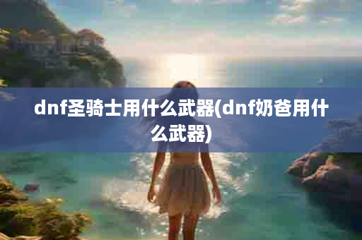 dnf圣骑士用什么武器(dnf奶爸用什么武器)