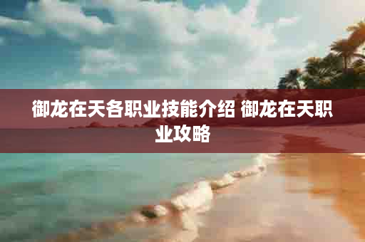 御龙在天各职业技能介绍 御龙在天职业攻略
