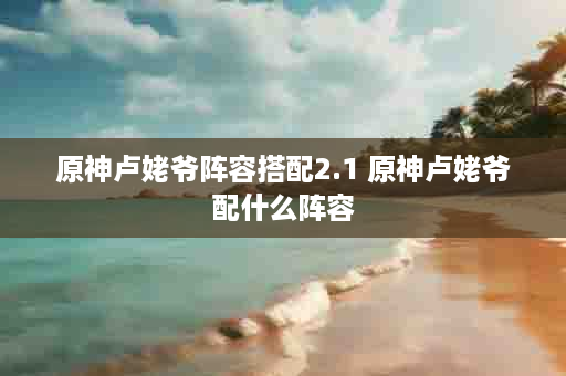 原神卢姥爷阵容搭配2.1 原神卢姥爷配什么阵容