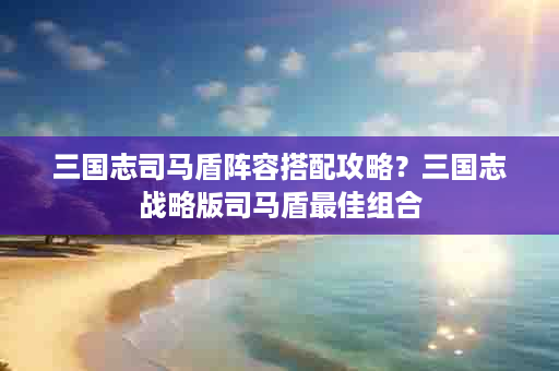 三国志司马盾阵容搭配攻略？三国志战略版司马盾最佳组合