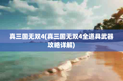 真三国无双4(真三国无双4全道具武器攻略详解)
