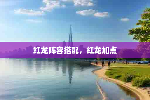 红龙阵容搭配，红龙加点