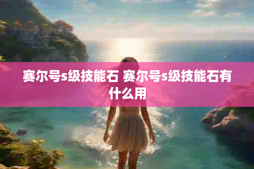 赛尔号s级技能石 赛尔号s级技能石有什么用