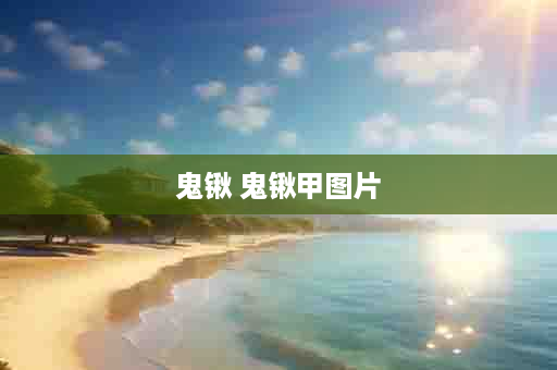 鬼锹 鬼锹甲图片