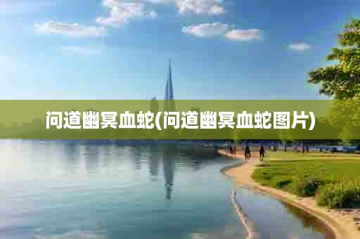 问道幽冥血蛇(问道幽冥血蛇图片)