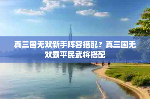 真三国无双新手阵容搭配？真三国无双霸平民武将搭配