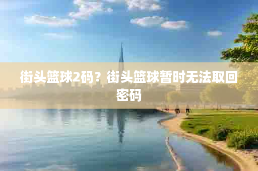街头篮球2码？街头篮球暂时无法取回密码
