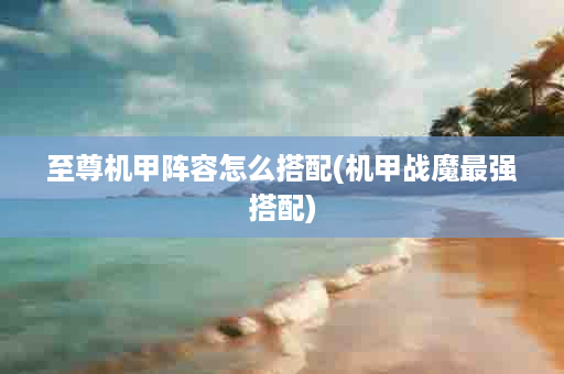 至尊机甲阵容怎么搭配(机甲战魔最强搭配)