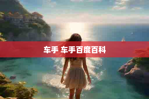 车手 车手百度百科