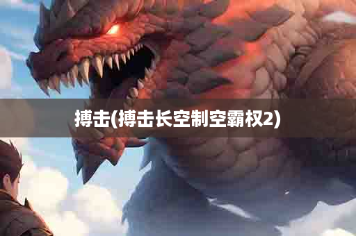 搏击(搏击长空制空霸权2)