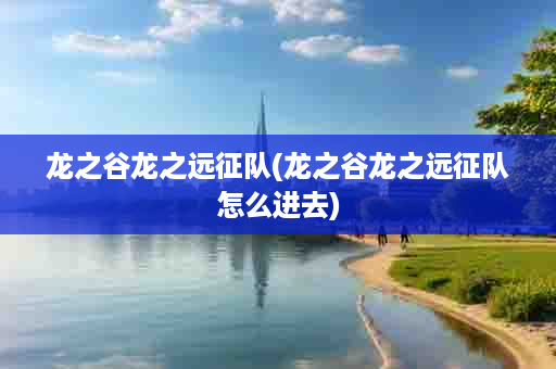 龙之谷龙之远征队(龙之谷龙之远征队怎么进去)