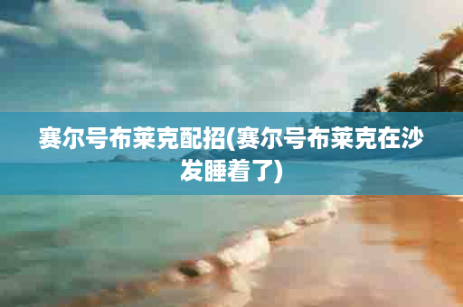 赛尔号布莱克配招(赛尔号布莱克在沙发睡着了)