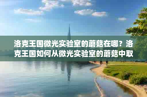 洛克王国微光实验室的蘑菇在哪？洛克王国如何从微光实验室的蘑菇中取得魔法石