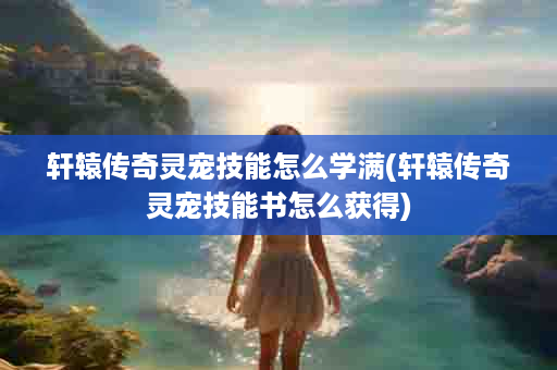 轩辕传奇灵宠技能怎么学满(轩辕传奇灵宠技能书怎么获得)
