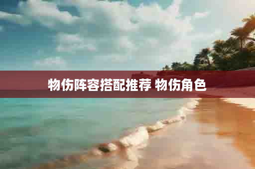 物伤阵容搭配推荐 物伤角色