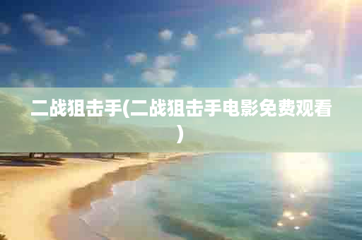 二战狙击手(二战狙击手电影免费观看)
