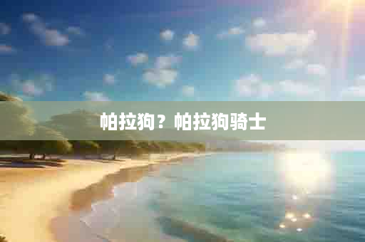 帕拉狗？帕拉狗骑士