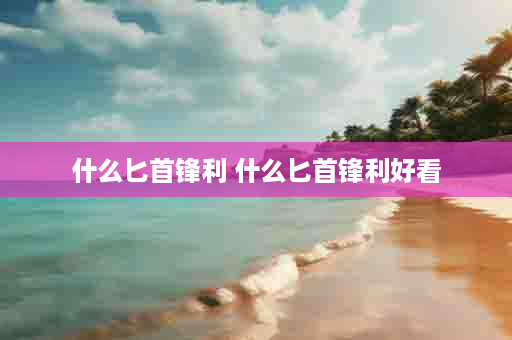 什么匕首锋利 什么匕首锋利好看