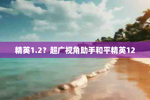 精英1.2？超广视角助手和平精英12