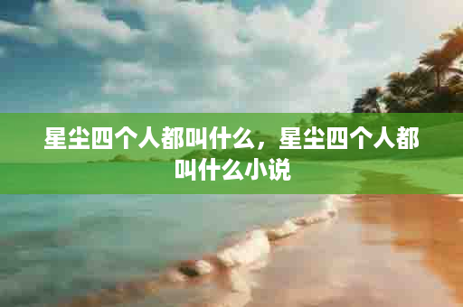 星尘四个人都叫什么，星尘四个人都叫什么小说