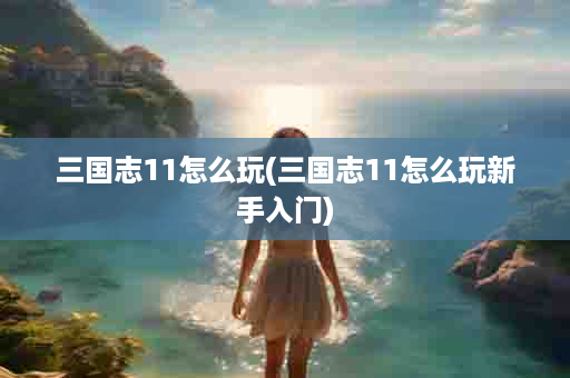 三国志11怎么玩(三国志11怎么玩新手入门)