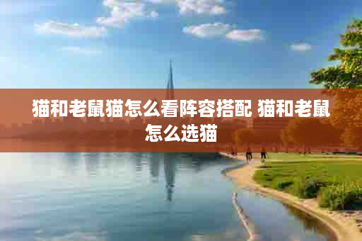 猫和老鼠猫怎么看阵容搭配 猫和老鼠怎么选猫