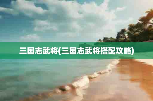 三国志武将(三国志武将搭配攻略)