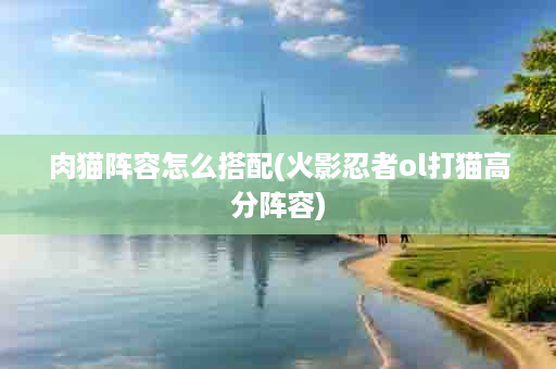 肉猫阵容怎么搭配(火影忍者ol打猫高分阵容)