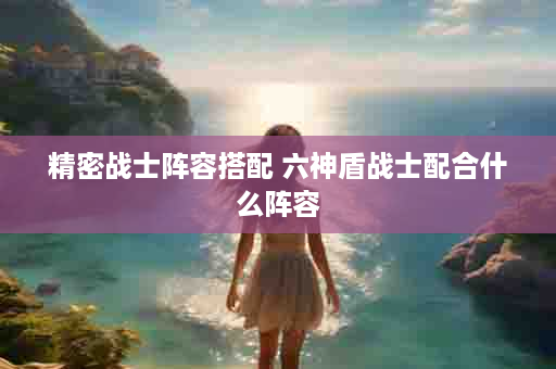 精密战士阵容搭配 六神盾战士配合什么阵容