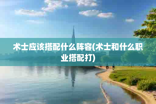 术士应该搭配什么阵容(术士和什么职业搭配打)
