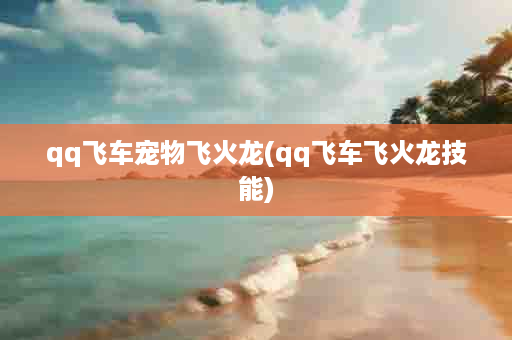 qq飞车宠物飞火龙(qq飞车飞火龙技能)