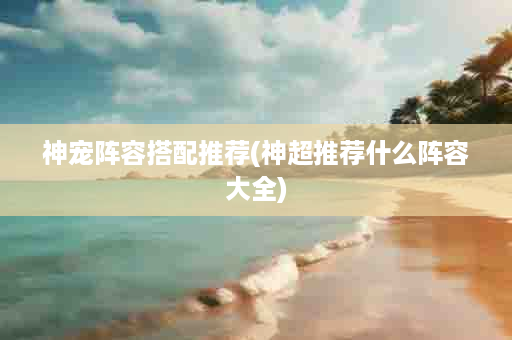 神宠阵容搭配推荐(神超推荐什么阵容大全)