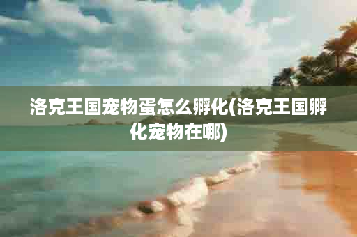 洛克王国宠物蛋怎么孵化(洛克王国孵化宠物在哪)
